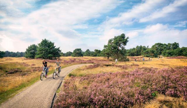 Sfeervol Chalet Op De Veluwe Putten Buitenkant foto