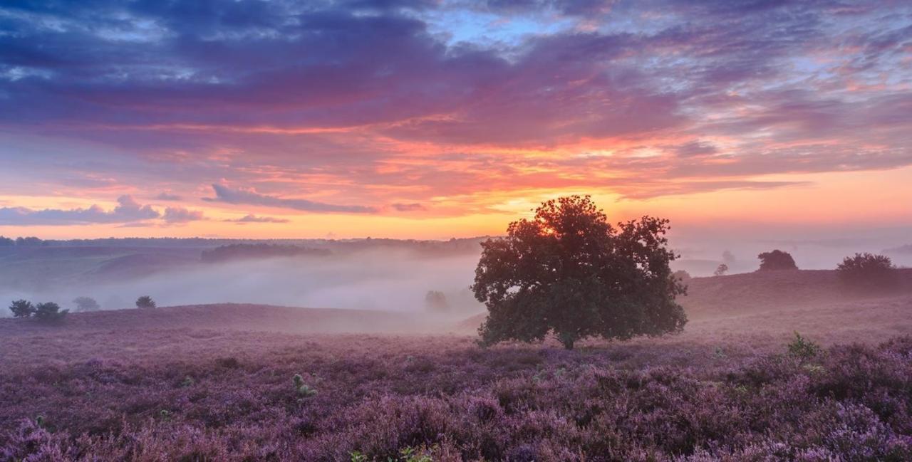 Sfeervol Chalet Op De Veluwe Putten Buitenkant foto